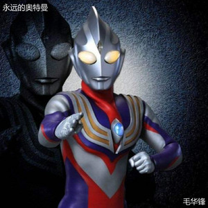 日本高清在线中字视频
